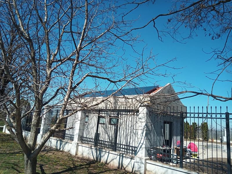 Salaš Čenej